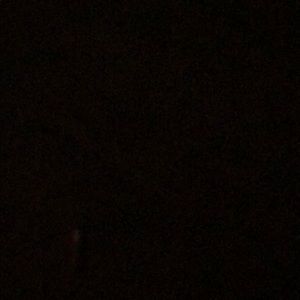 Meet your Posher, Cody